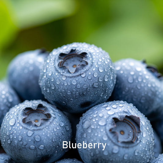Fragrance Oil - Blueberry (Compared to Nature's Garden)
