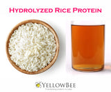 Hydrolyzed Rice Protein