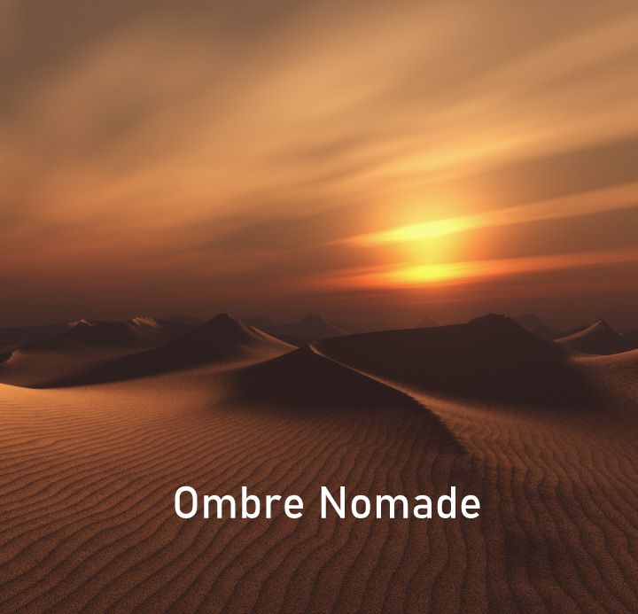 Fragrance Oil - Ombre Nomade (Compared to Louis Vuitton)
