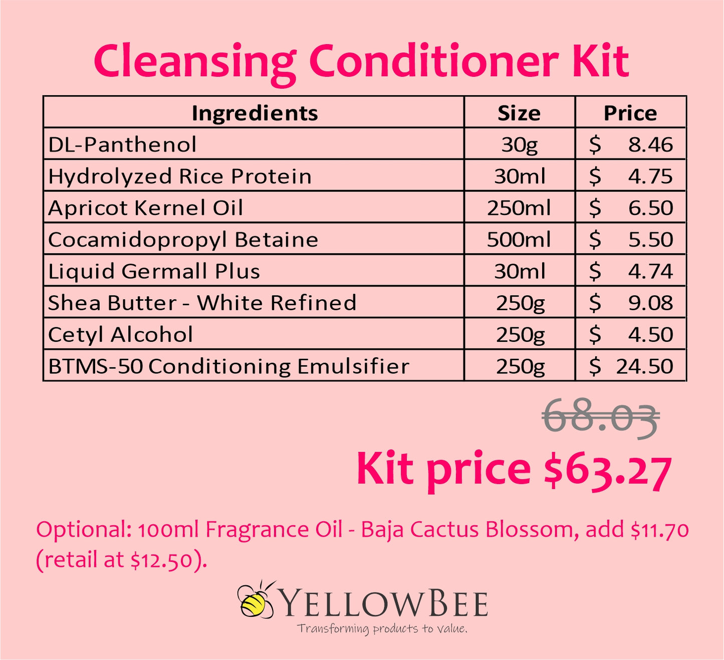 Starter Kit - Cleansing Conditioner