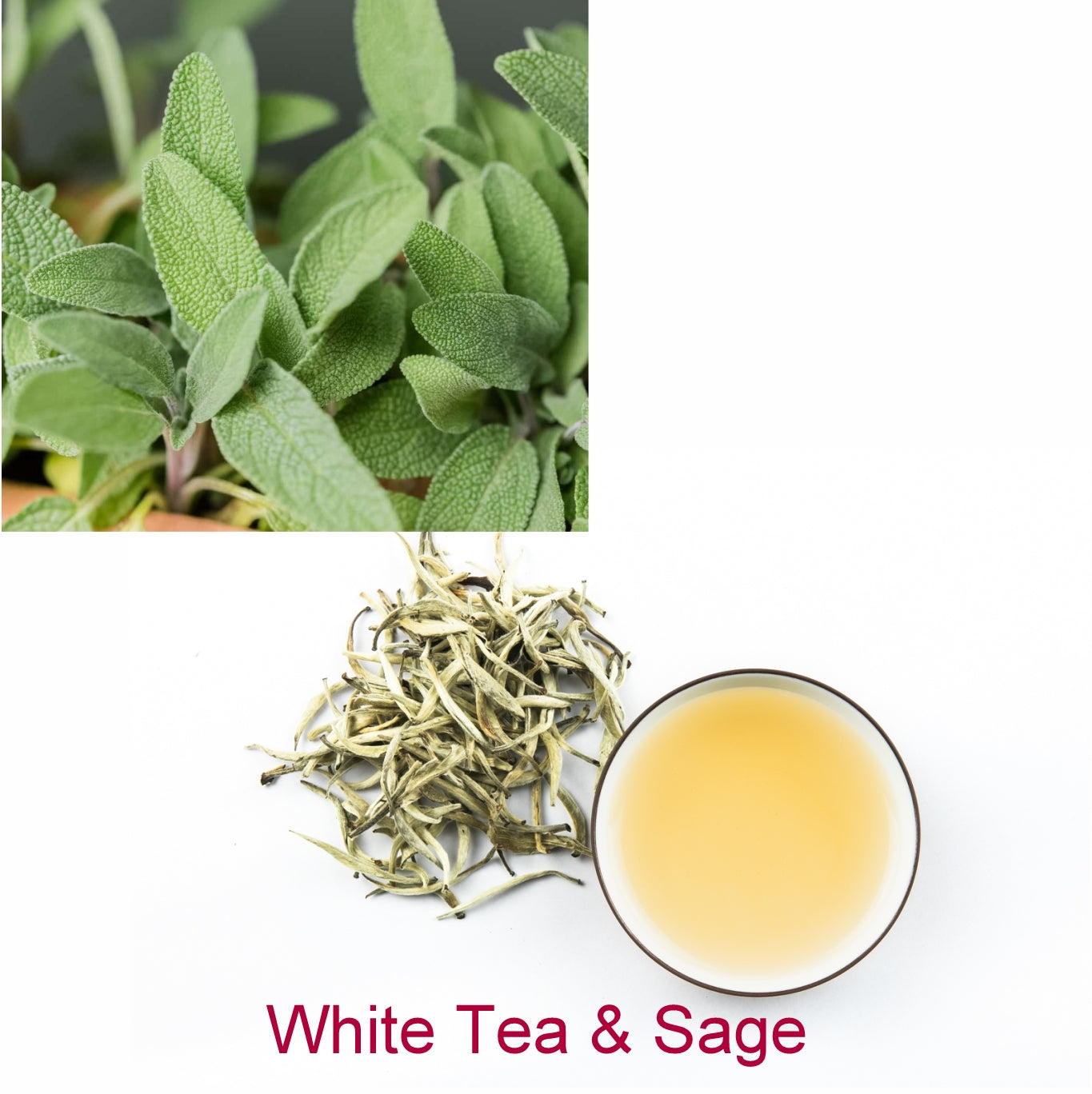Fragrance Oil - White Tea & Sage (Compared to White Barn)