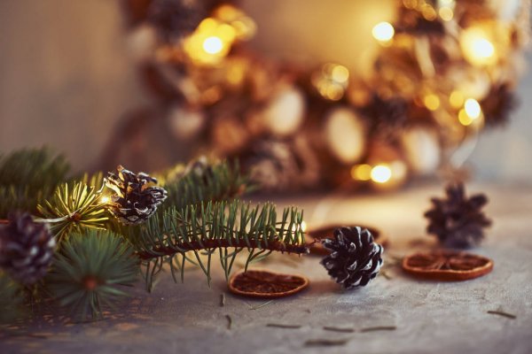 Fragrance Oil - Alpine Cheer (Compare to BBW)