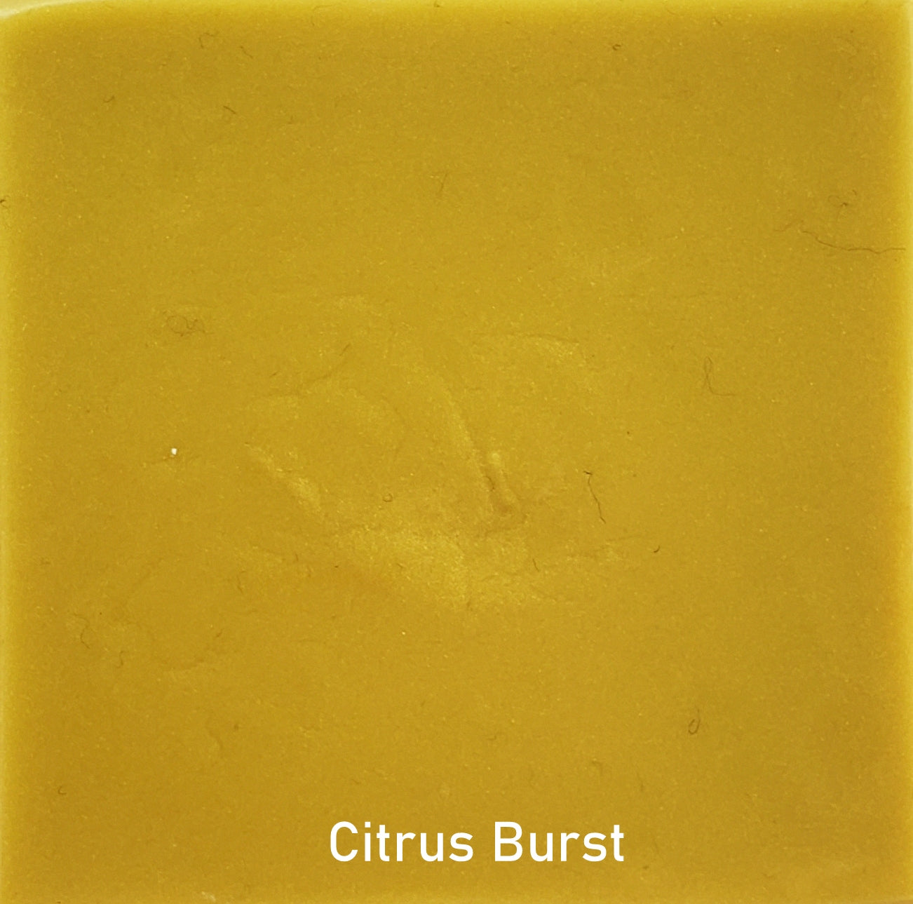 Citrus Burst