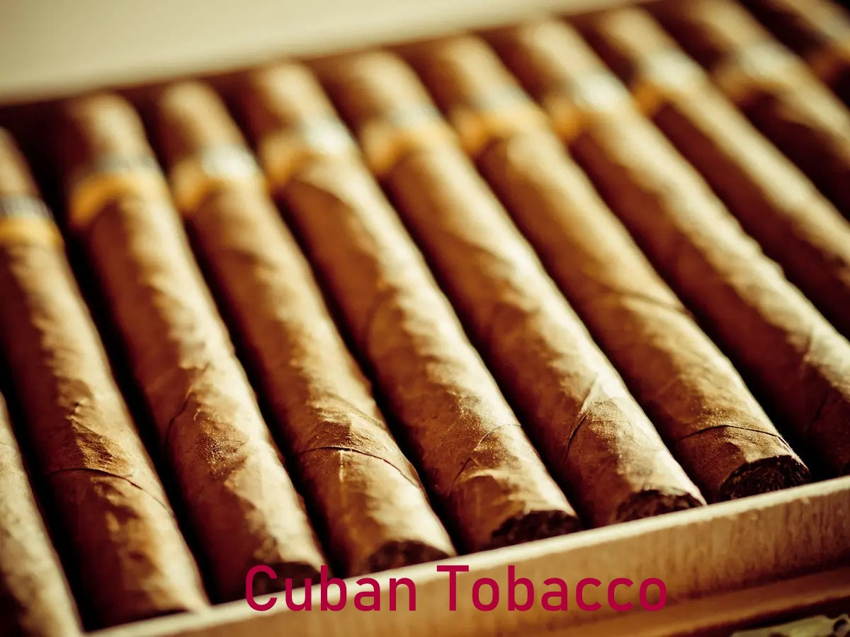 Fragrance Oil - Cuban Tobacco (Compared to Alghabra)