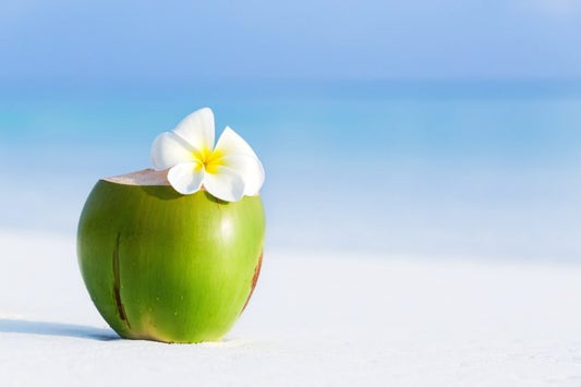 Fragrance Oil - Fresh Coconut