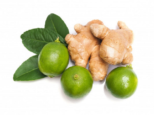 Fragrance Oil - Fresh Ginger Lime