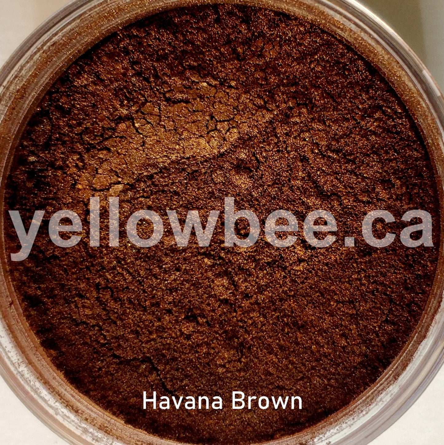Mica - Havana Brown