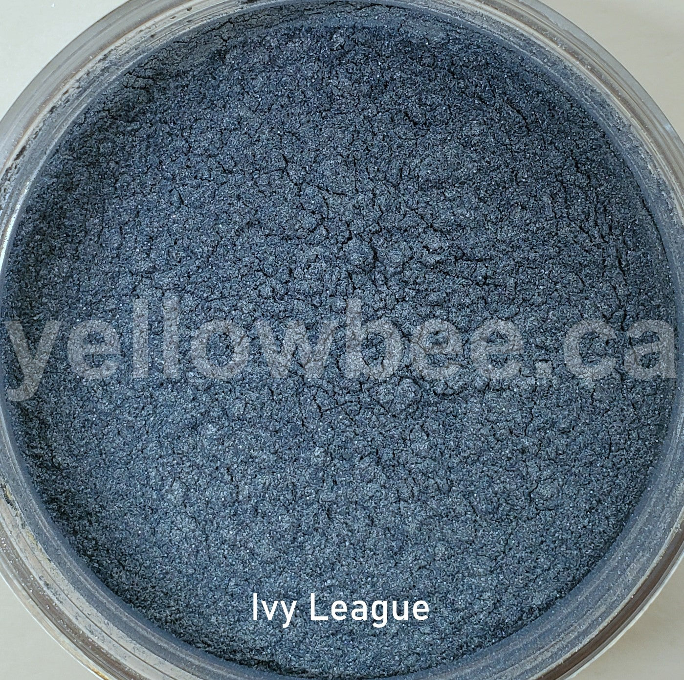Mica - Ivy League