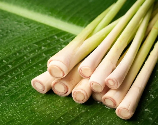 Fragrance Oil - Lemongrass Fragrance (Compare to Natures Garden)