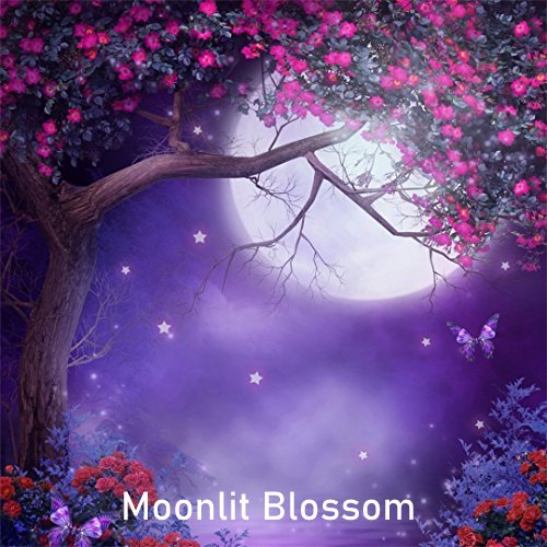 Fragrance Oil - Moonlit Blossoms (Compared to Yankee)