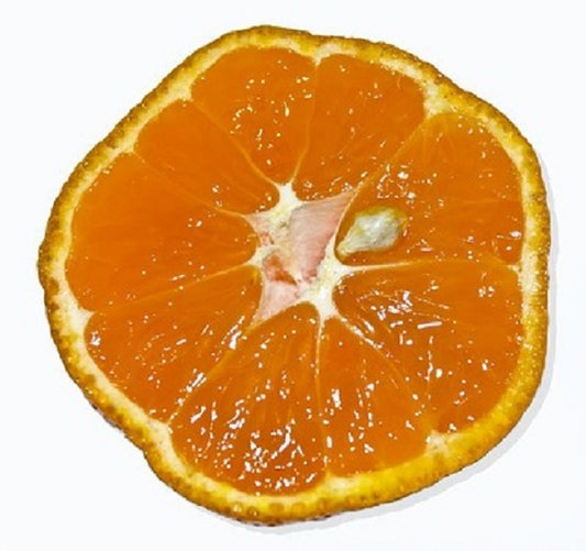 Fragrance Oil - Satsuma Orange