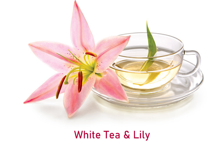 white tea and lily plug in Fragrance Oil