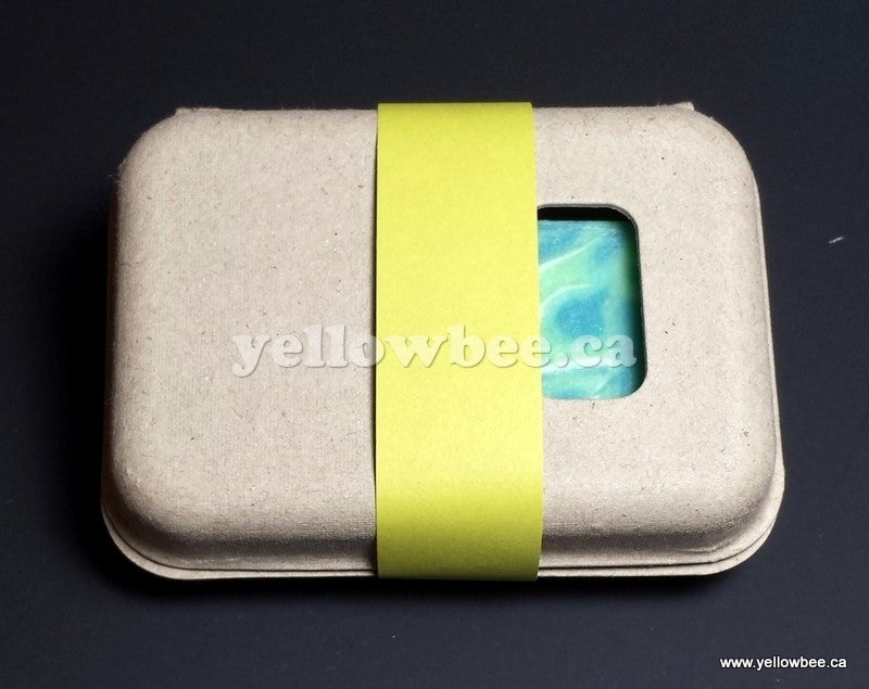Paper Clamshell Pump Box