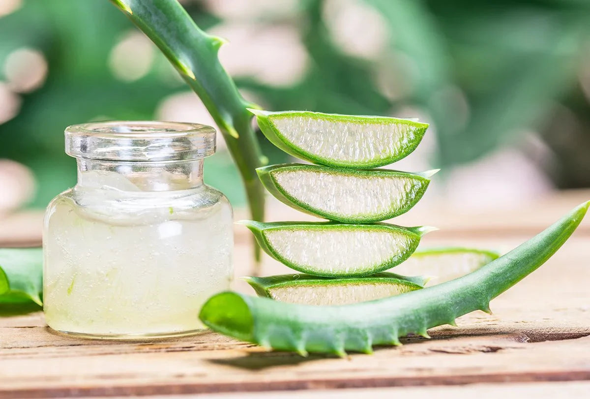 Aloe Vera Gel Kit