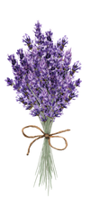Hydrosols / Floral Water