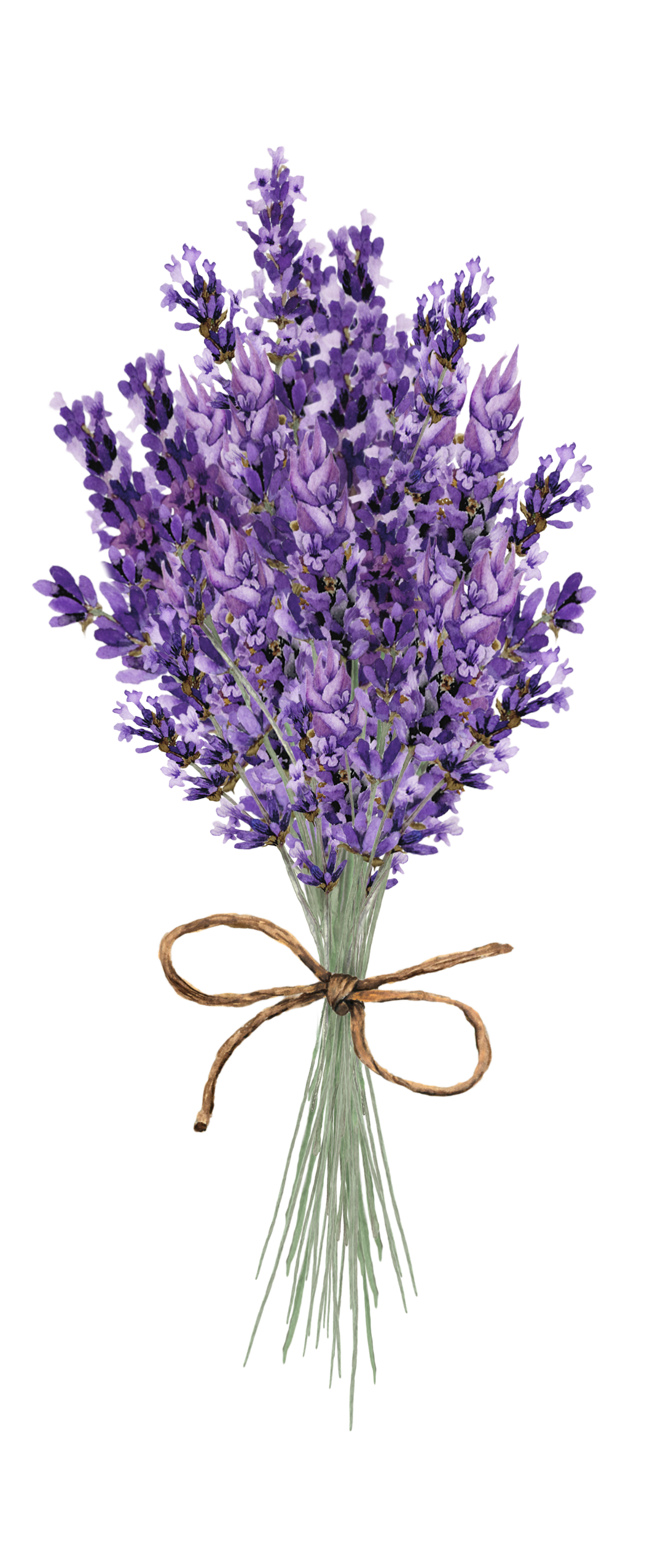 Hydrosols / Floral Water