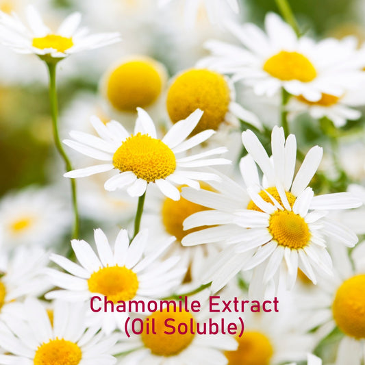Chamomile Extract (Oil Soluble)
