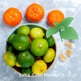 Fragrance Oil - Lime Basil Mandarin (Compared to Jo Malone)