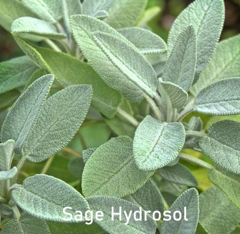 Sage Hydrosol