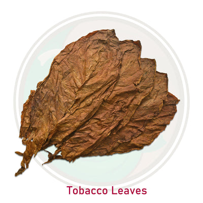 Fragrance Oil - Tobacco Leaves