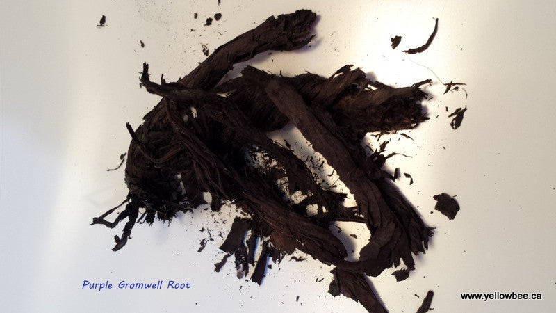 Purple Gromwell Root - 50gm (While Stock Last)