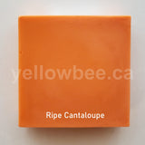 Ripe Cantaloupe