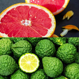 Bergamot Grapefruit (Compare to Crafter's Choice)