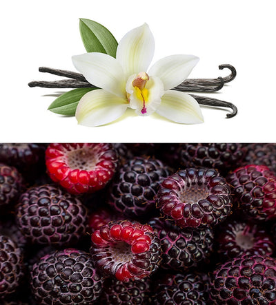 Fragrance Oil - Black Raspberry Vanilla (Compare to BBW)