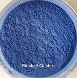 Bluebell Cluster