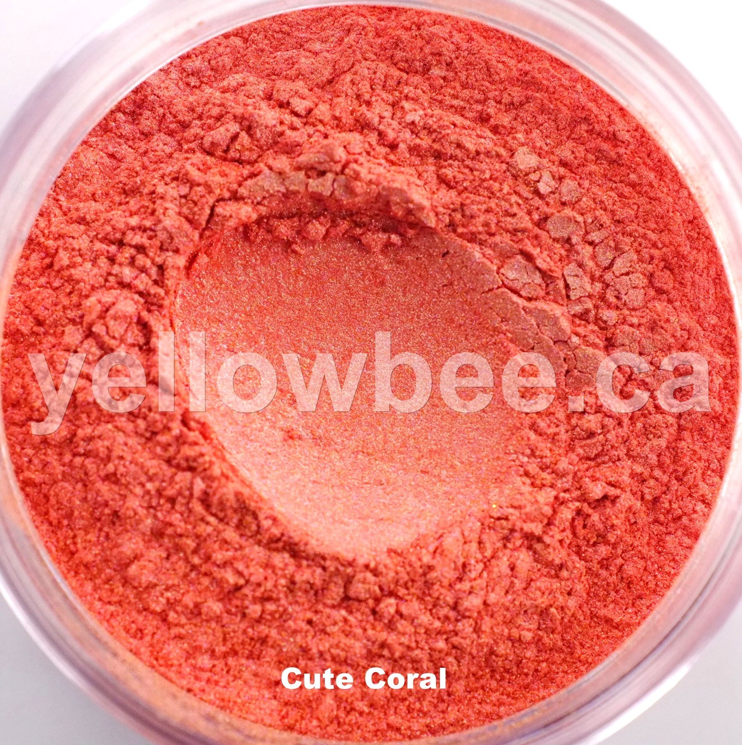 Cute Coral - 10g