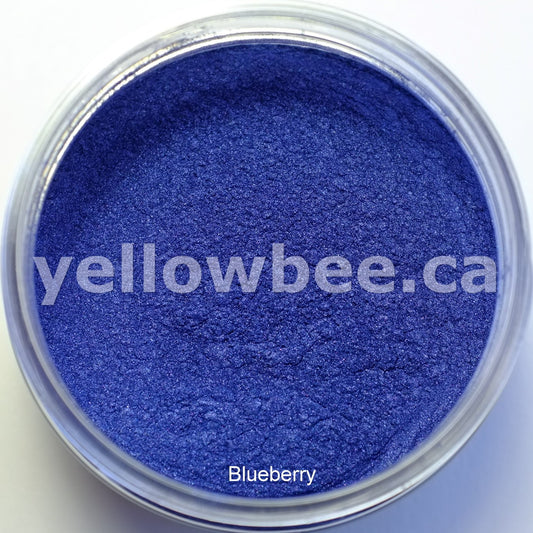Blueberry - 10g