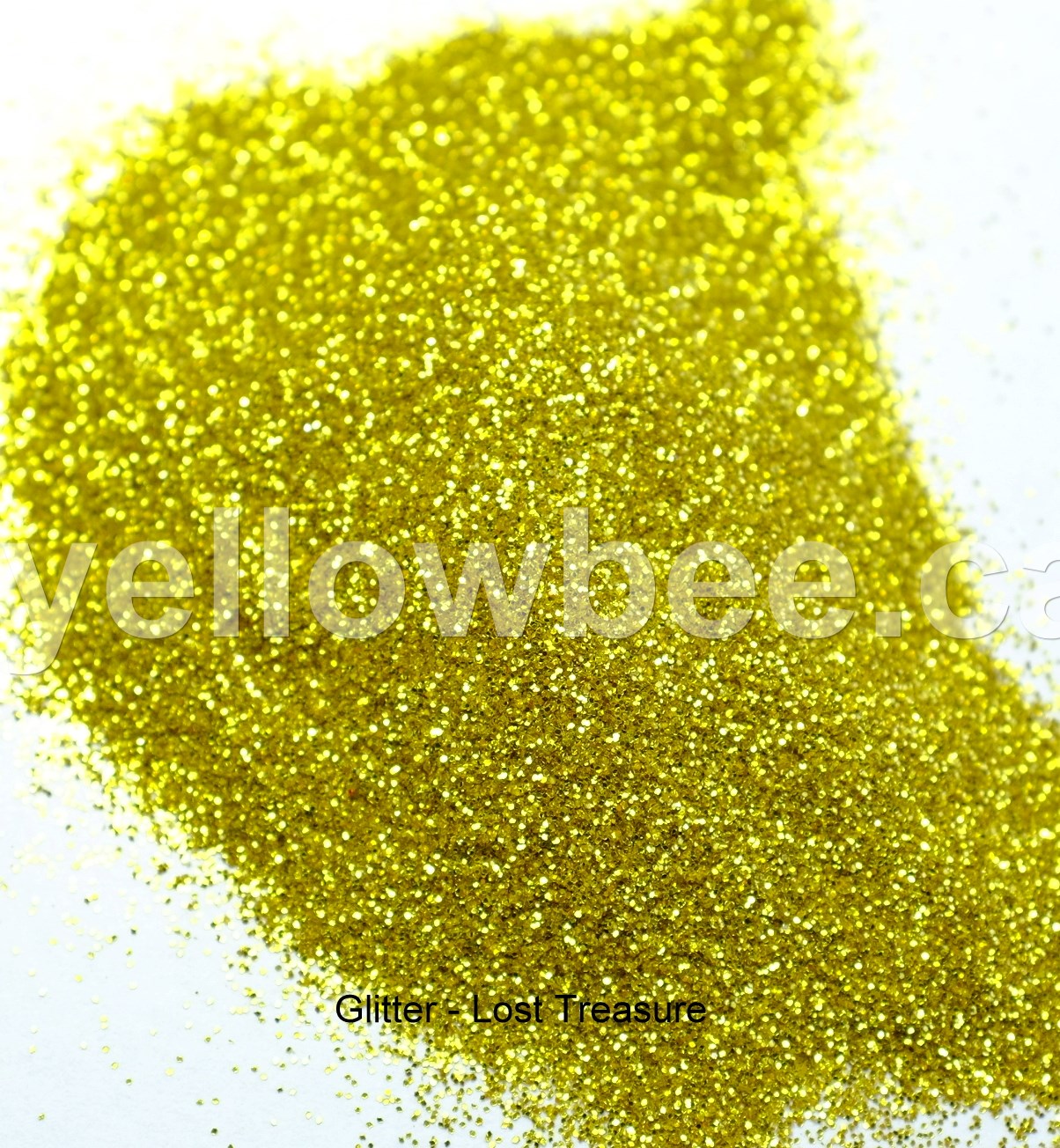 Glitter - Lost Treasure (Microfine 0.004") - 10g
