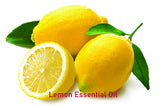 Essential Oil - Lemon (Citrus limon)
