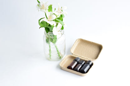 One Green Clamshell Box- GP-001 (Case of 216pcs)