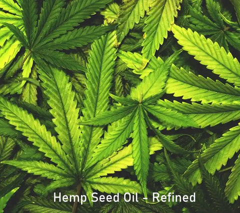 Hemp Seed Oil - Refined