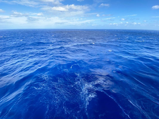 Fragrance Oil - Ocean Lover (Compare to BBW)