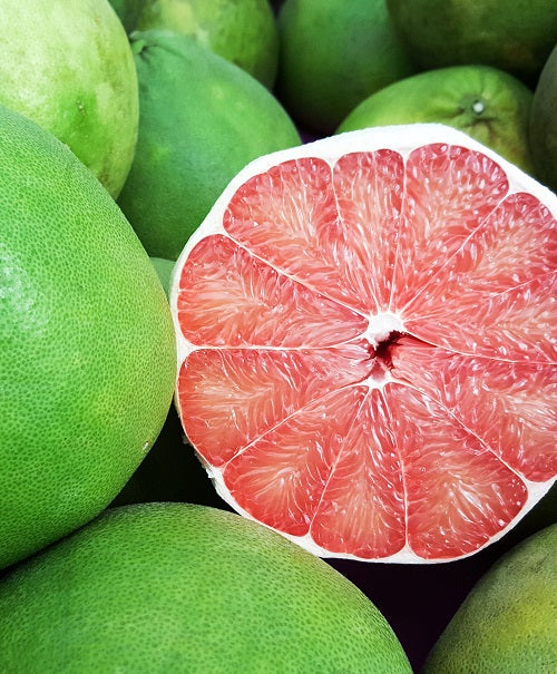 Fragrance Oil - Pomelo (Compare to Chesapeake Bay Candle)