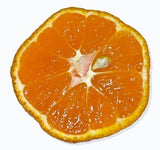 Satsuma Orange