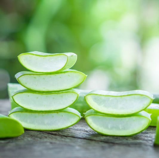 Fragrance Oil - Wild Sage & Aloe (Compare to BBW)