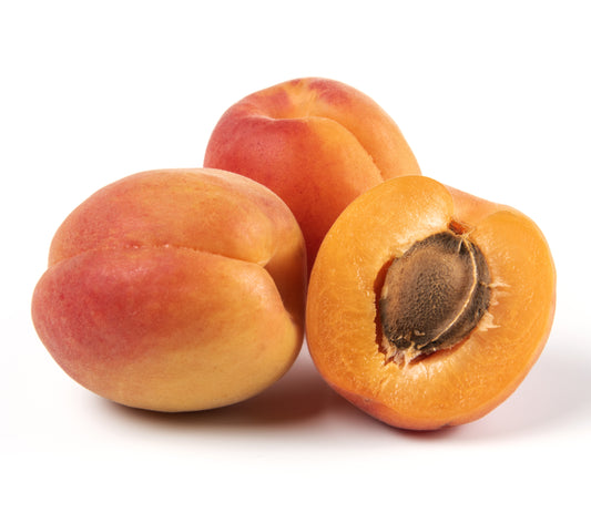 Apricot Kernel Oil